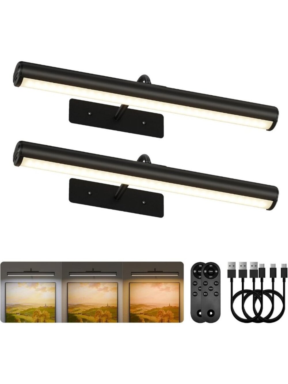 EZVALO 16in Picture Lights for Wall, 6000mAh Rechargeable Art Lights
